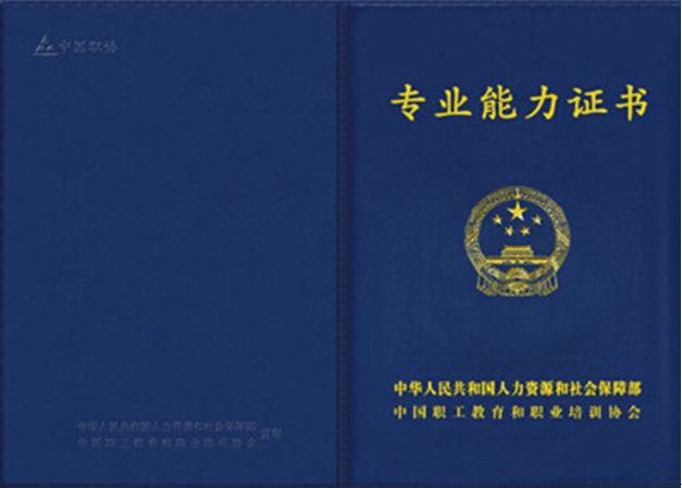 dvubb 按此在新窗口浏览图片